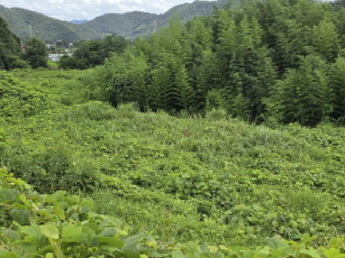 전남 강진군 성전면 월남리 747 외 29필지 답 사진 4