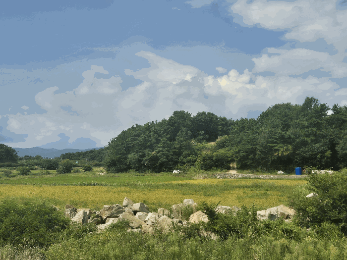 경남 사천시 서포면 비토리 119-43 외 2필지 답 사진 3