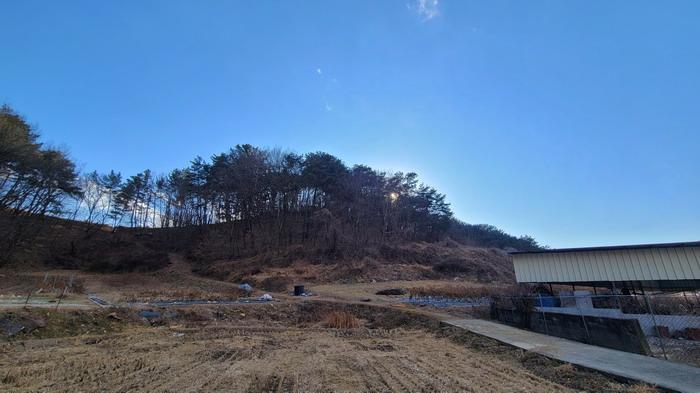 경남 함안군 법수면 주물리 산36 임야 사진 3