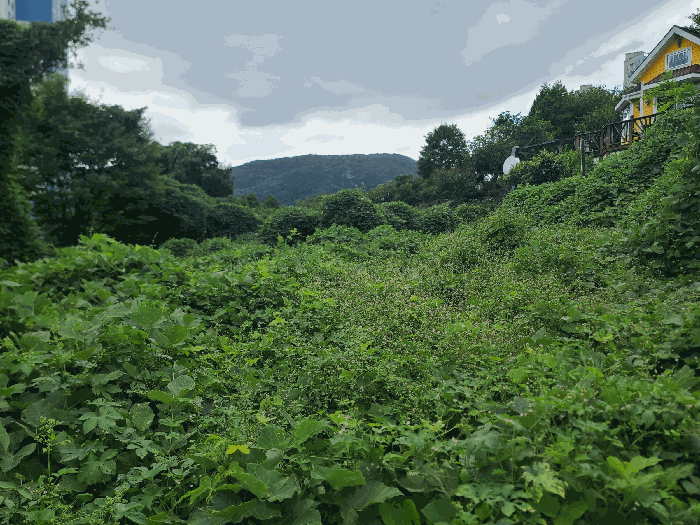 경남 거제시 일운면 소동리 146-2 전 사진 3
