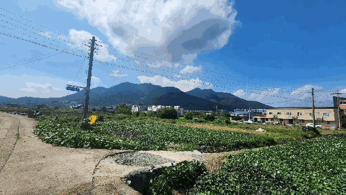경남 고성군 거류면 신용리 279-1 전 사진 5