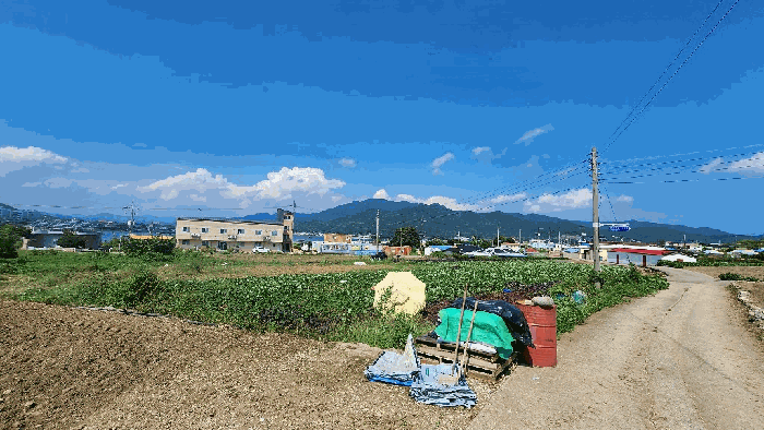경남 고성군 거류면 신용리 279-1 전 사진 6
