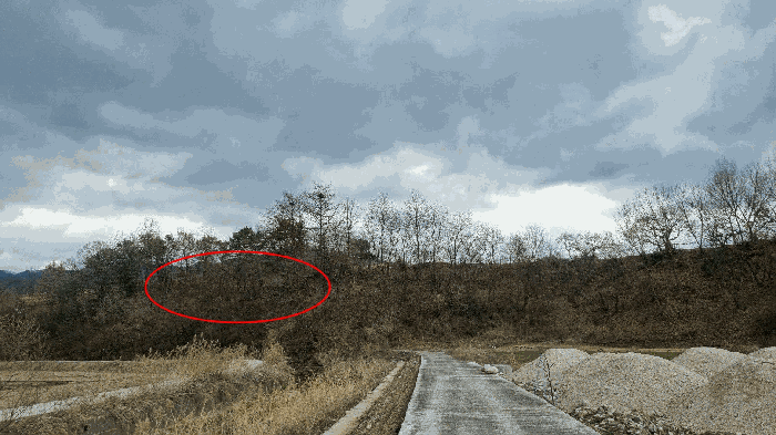 경남 거창군 거창읍 정장리 354-1 전 사진 4