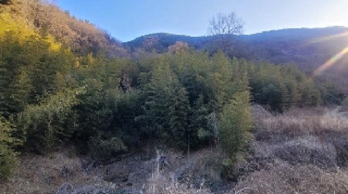 경남 함안군 군북면 박곡리 1085 전 경매 물건 사진