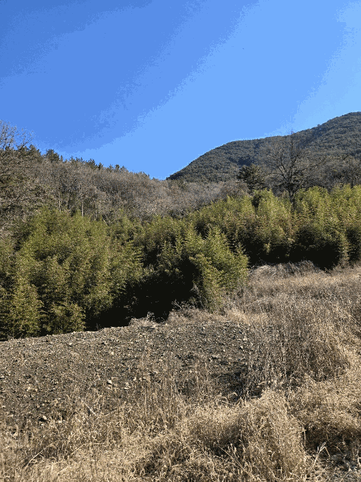 경남 함안군 군북면 박곡리 1085 전 사진 2