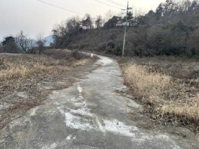 충북 괴산군 칠성면 두천리 산20-8 외 9필지 임야 사진 4
