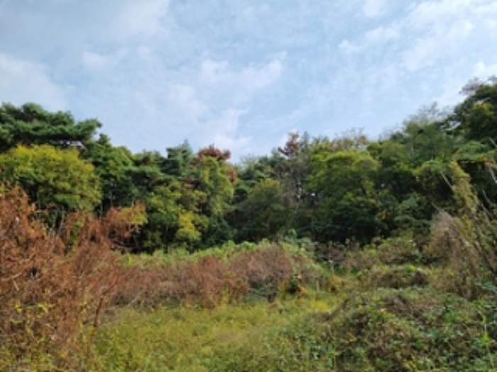 경남 창원시 의창구 북면 내곡리 805 답 경매 물건 사진