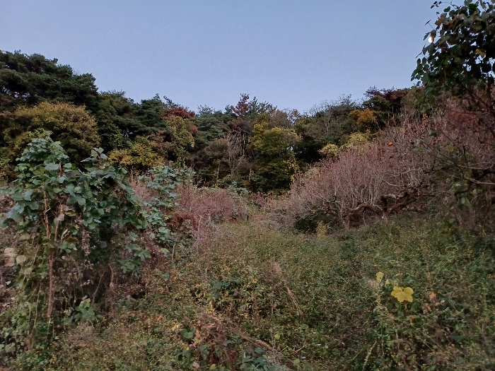 경남 창원시 의창구 북면 내곡리 805 답 사진 2