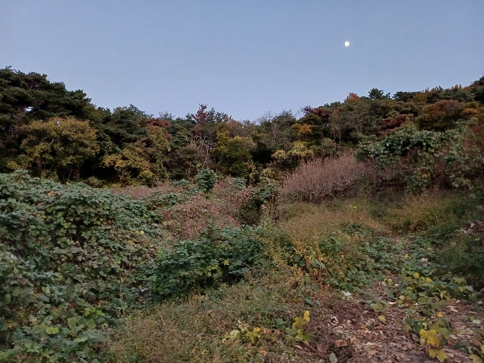 경남 창원시 의창구 북면 내곡리 805 답 사진 3