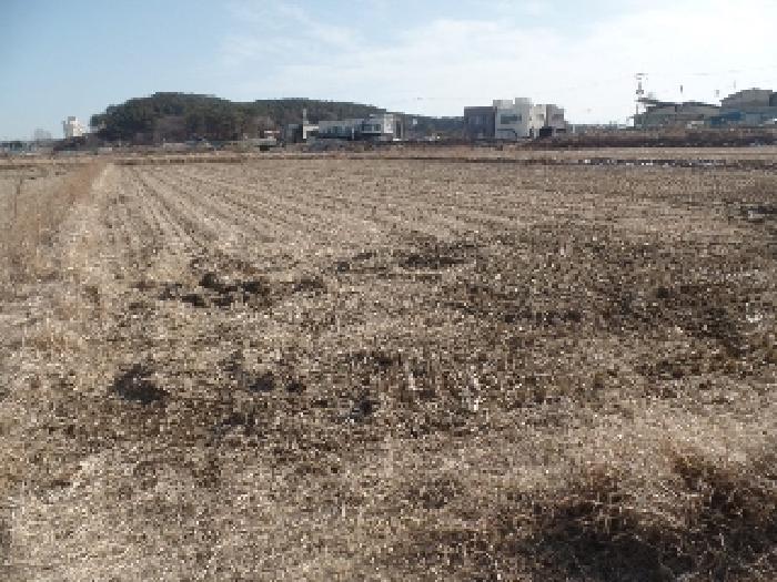 충남 논산시 강산동 443-5 답 경매 물건 사진