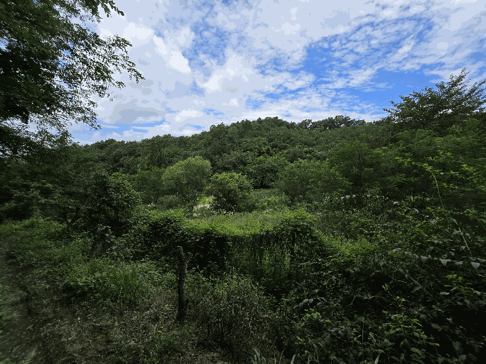 충남 천안시 서북구 신당동 144-1 전 사진 5