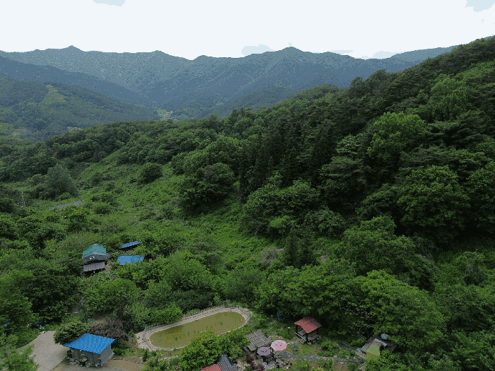 전남 곡성군 석곡면 염곡리 산278 임야 사진 3