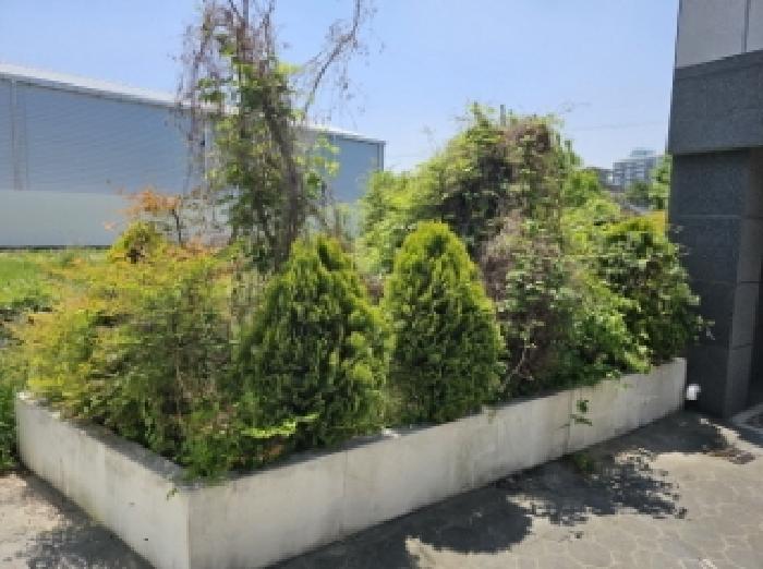 경남 진주시 문산읍 삼곡리 1244-15 외 1필지 다가구주택 사진 3